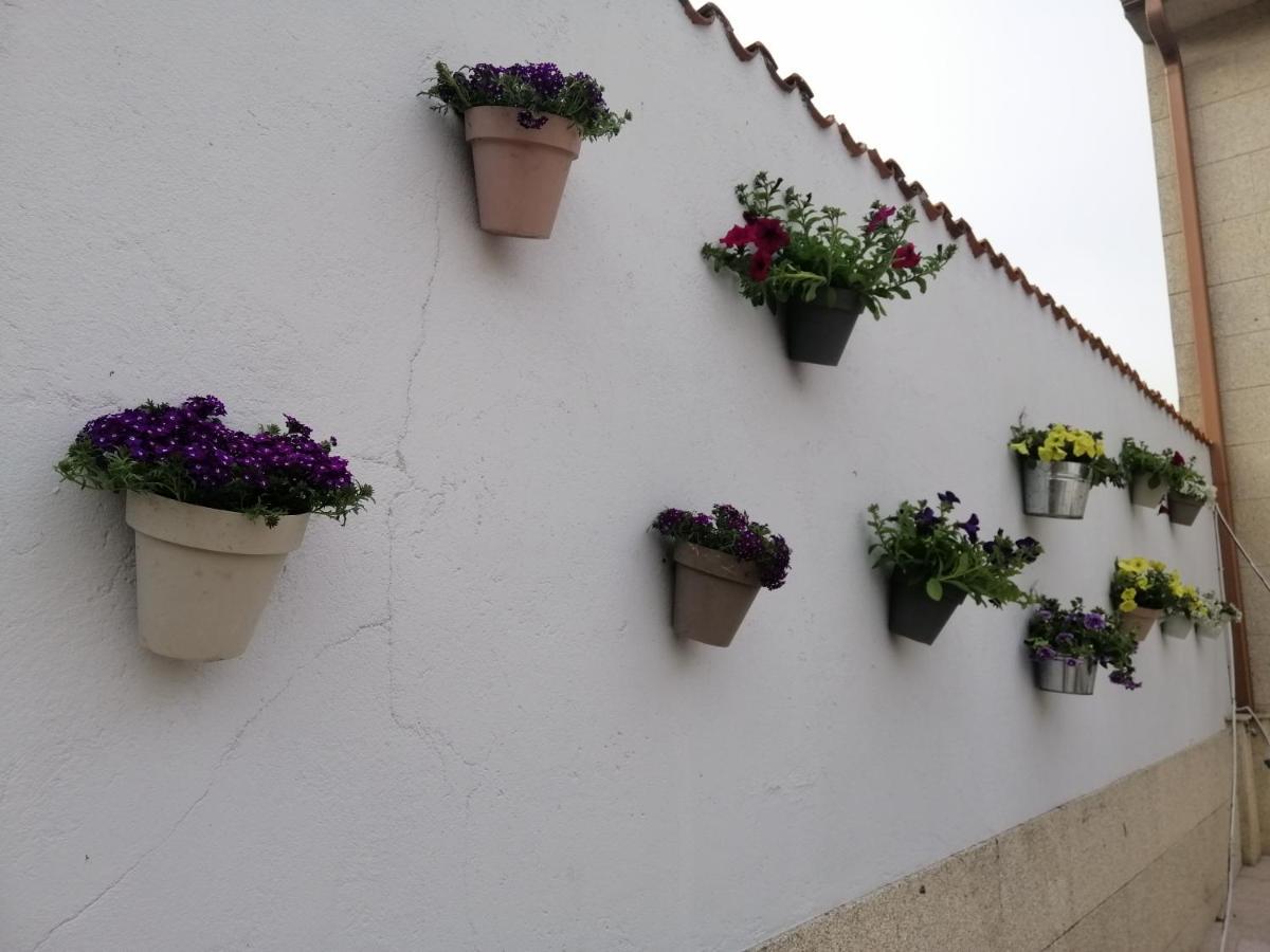 הוילה סנטיאגו דה קומפוסטלה Casa Reibon מראה חיצוני תמונה